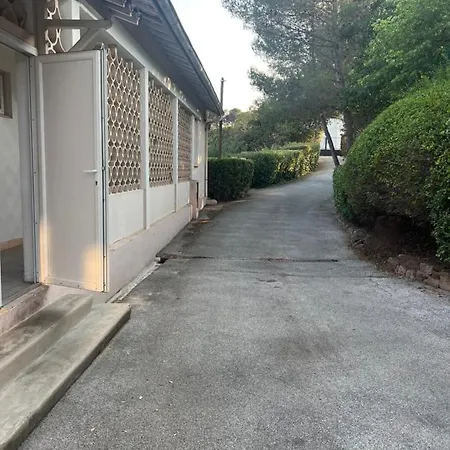 Zara At Raphael France *