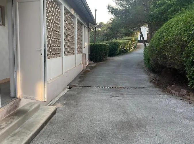 Zara At Raphael France *