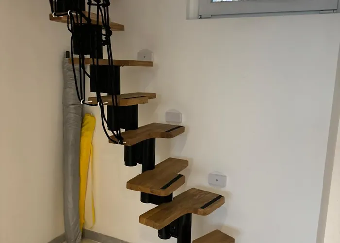 Zara At Raphael France